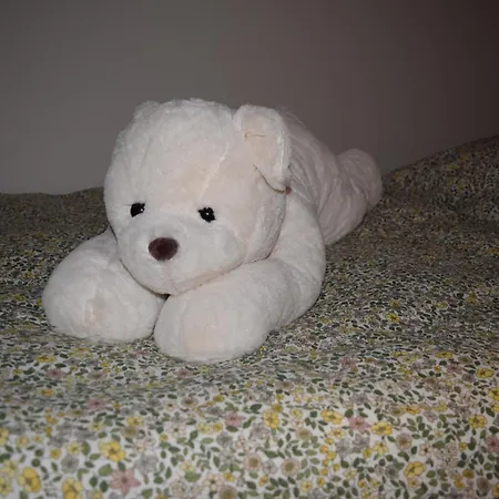 Haus Tala * Марквартштайн