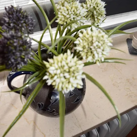 Haus Tala * Марквартштайн