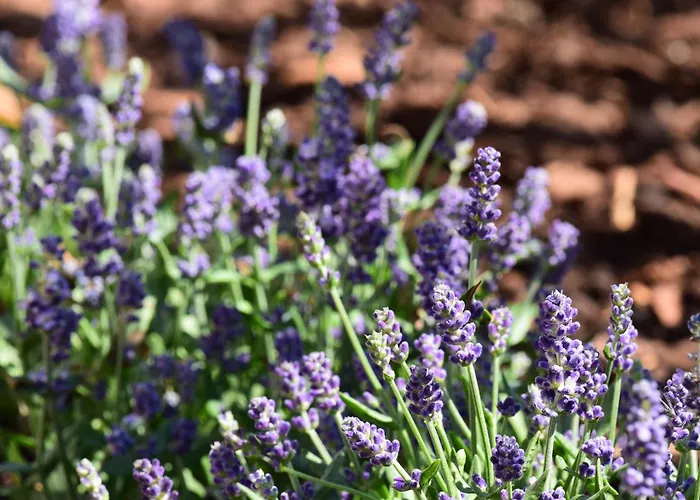 Lejlighed Haus Tala Marquartstein